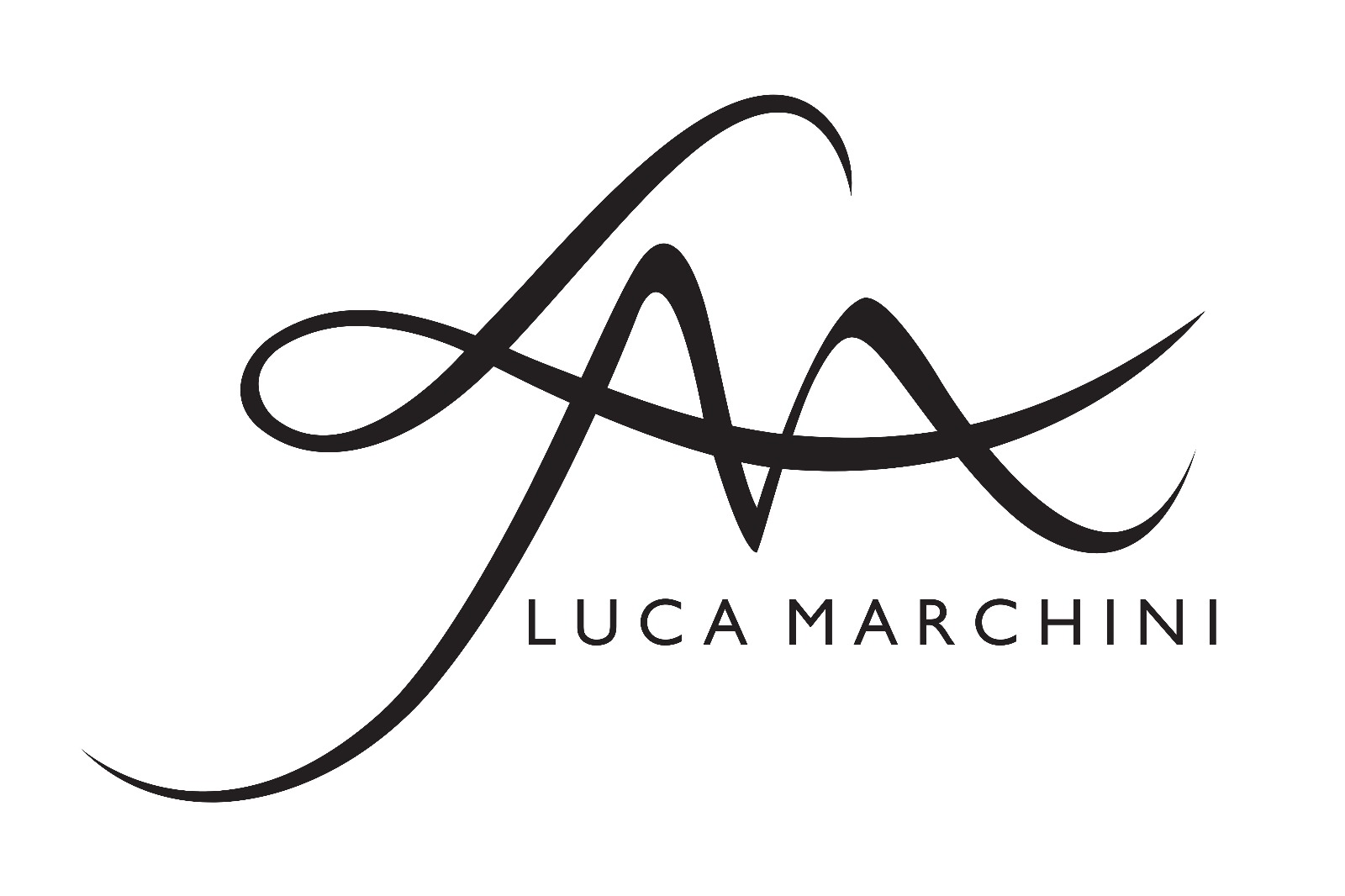 Luca Marchini